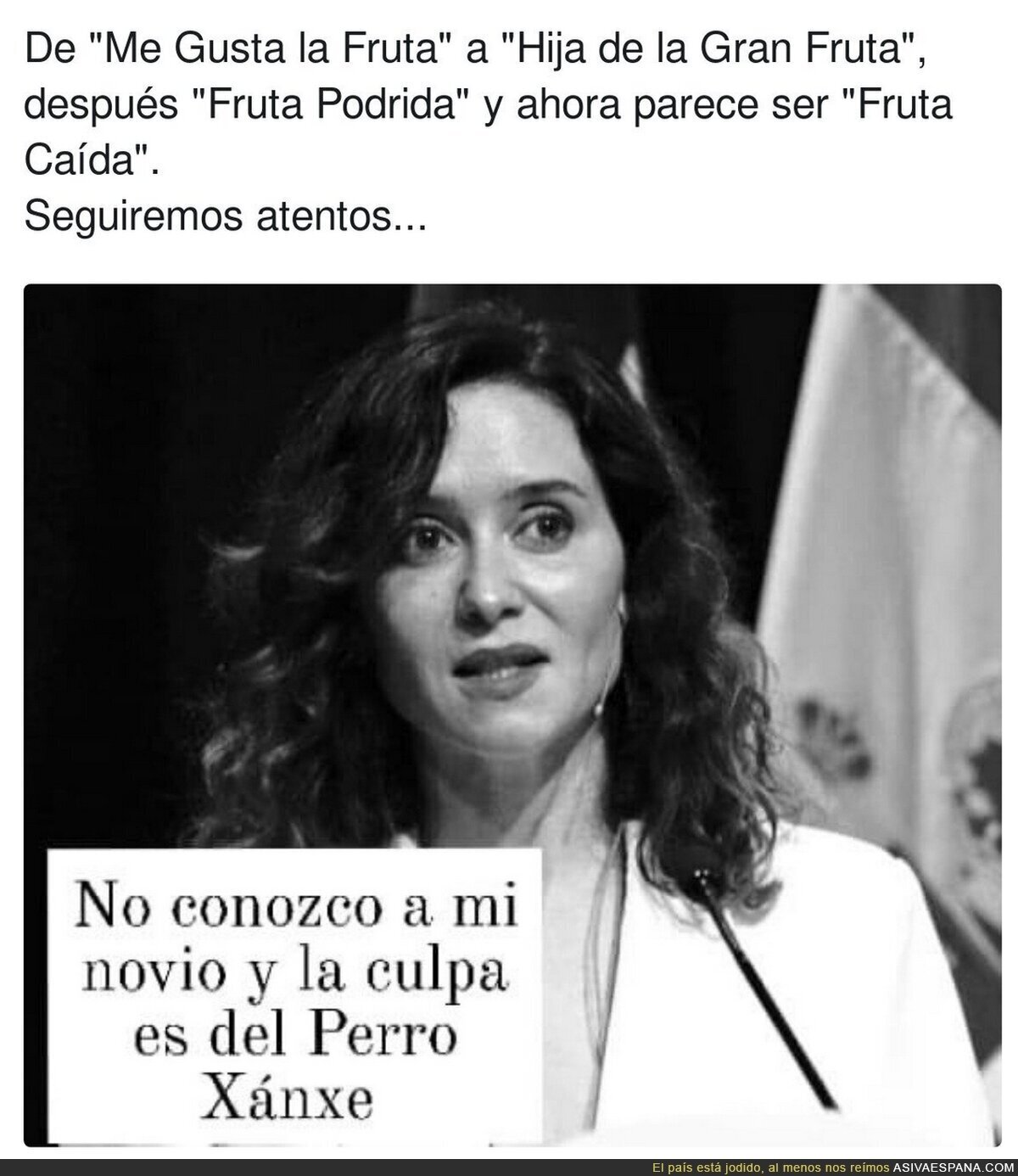 Lo que se viene con Ayuso