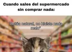 Sales con miedo