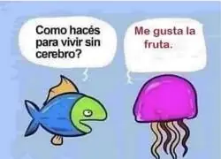 Poca vida inteligente