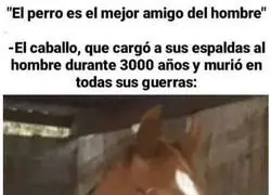 Bastante dudoso el mejor amigo del hombre
