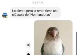 Excepci&oacute;n en el trabajo