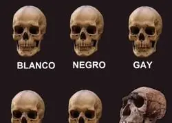 Lo de la tauromaquia explicado sencillamente