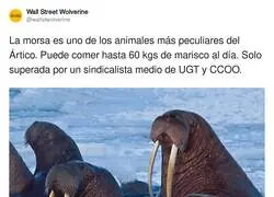 Datos curiosos del d&iacute;a