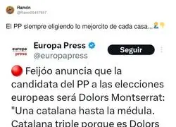 Buen ojo el que tiene el PP