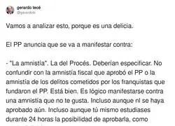 La amnist&iacute;a por la que el PP se manifiesta