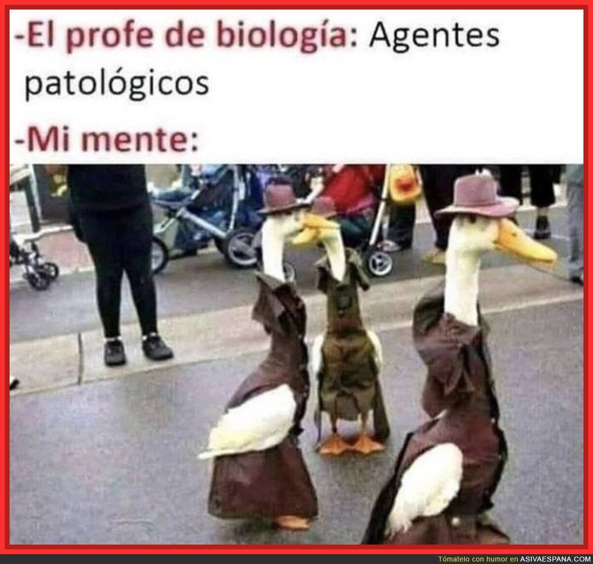 Agentes patológicos