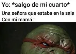 La t&iacute;pica se&ntilde;ora que te encuentras en casa