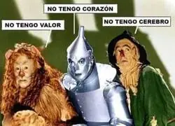 VOX es la soluci&oacute;n