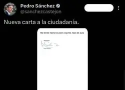 Pedro S&aacute;nchez est&aacute; desatado
