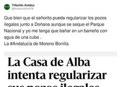 La Casa de Alba tiene v&iacute;a libre para todo