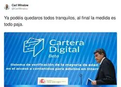 La medida con las p&aacute;ginas para adultos