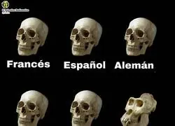 Un ser que vive en otra &eacute;poca