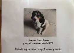 &iexcl;Bienvenido Bruno!