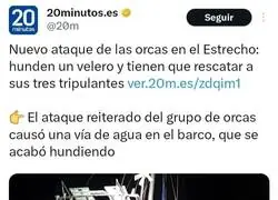 Las orcas est&aacute;n en el lado bueno de la historia