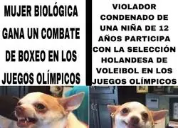 As&iacute; est&aacute; el panorama en Paris 2024