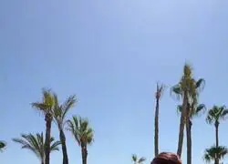 Me parece una cr&oacute;nica perfecta