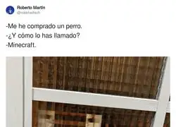 El mejor nombre posible para perro