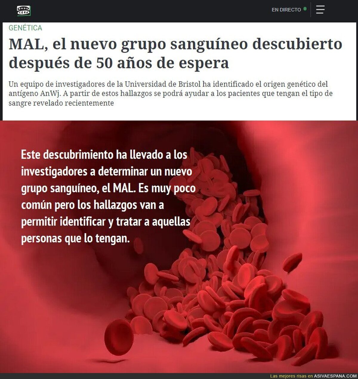 Tengo la esperanza de que descubran el BIEN