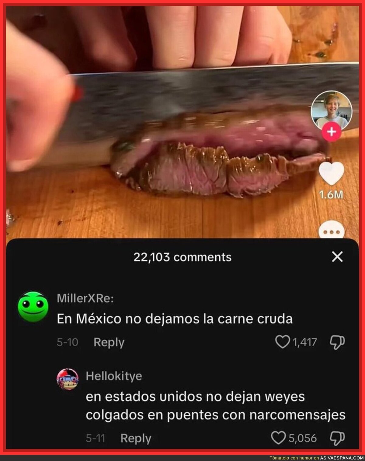 Diferente tipo de culturas