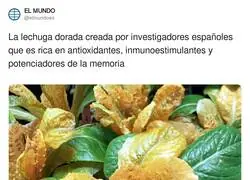 A m&iacute; me parece que est&aacute; en malas condiciones, pero qu&eacute; hostias, m&aacute;s noticias as&iacute; necesitamos