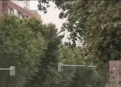 El peor carril bici de Europa est&aacute; en Madrid