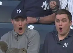 Los votantes de Alvise viendo c&oacute;mo se larga con la pasta