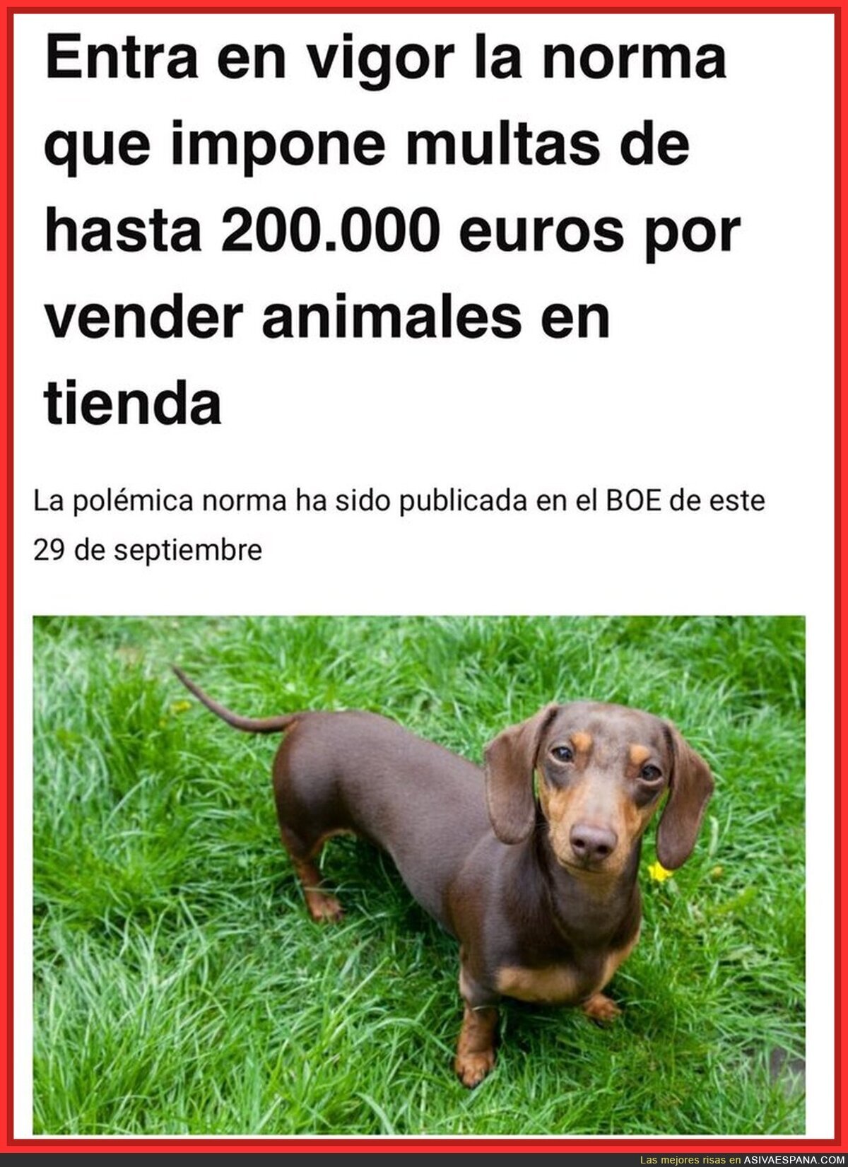 Me parece genial