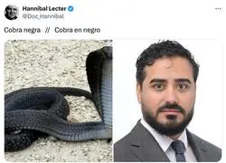 Cobra negra  //  Cobra en negro