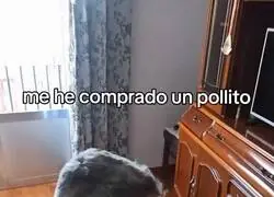 Triste pero cierto, as&iacute; celebra el viernes mucha gente