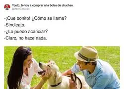 Para esto est&aacute;n los sindicatos