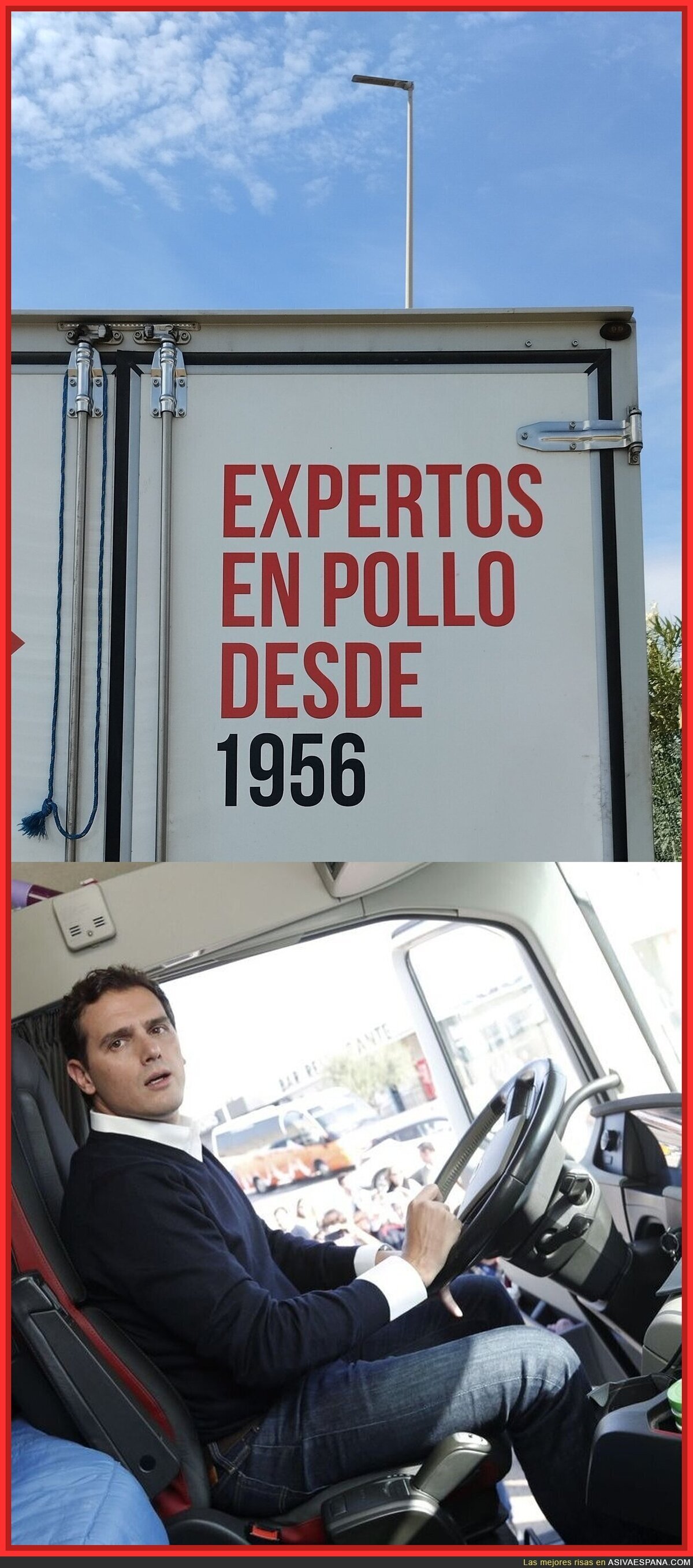 El experto en pollos