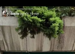 Original si ha sido cuanto menos