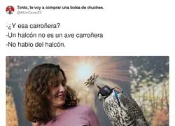 Amante de los animales