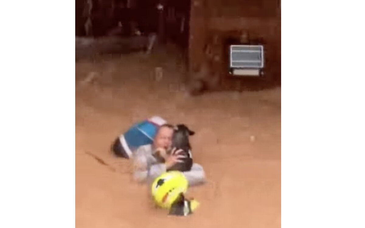 Así ha sido el rescate a una mujer y sus mascotas por un bombero en Valencia