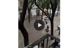 &iquest;Se puede saber qu&eacute; narices hacen los ni&ntilde;os yendo al colegio en plena DANA? &iquest;Por qu&eacute; no se suspendieron las clases?