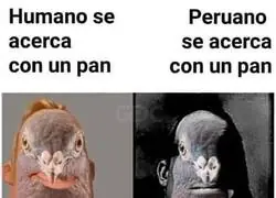 Hay que tener cuidado con los peruanos
