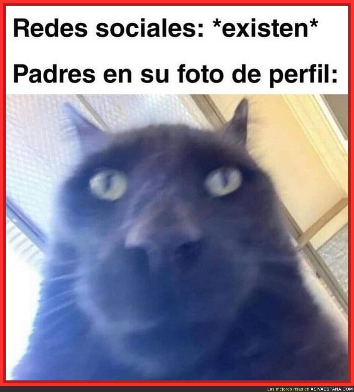 Típico de los padres