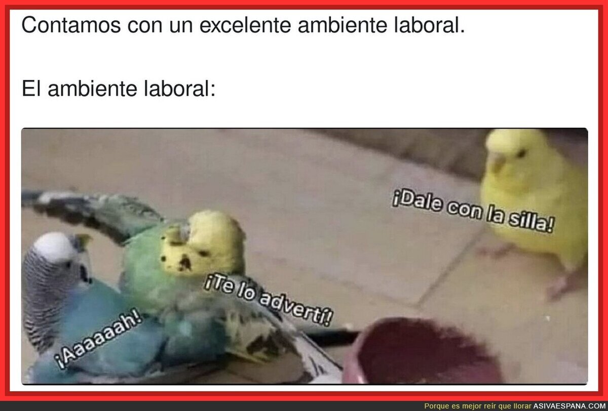 Típica frase que se escucha en una empresa