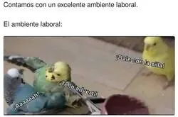 T&iacute;pica frase que se escucha en una empresa