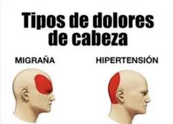 El &eacute;xodo de X a Bluesky