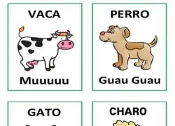 Los diferentes sonidos