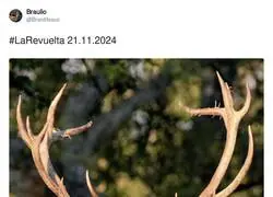 Historia de la televisi&oacute;n