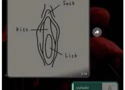 Son conceptos b&aacute;sicos