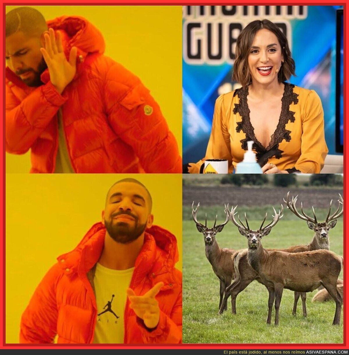 Prefiero este tipo de contenido en televisión