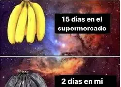 El paso del tiempo con los pl&aacute;tanos