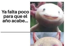 Est&aacute; siendo un a&ntilde;o duro