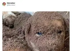 Un deasastre en la cama