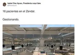 Que poco se habla del Zendal