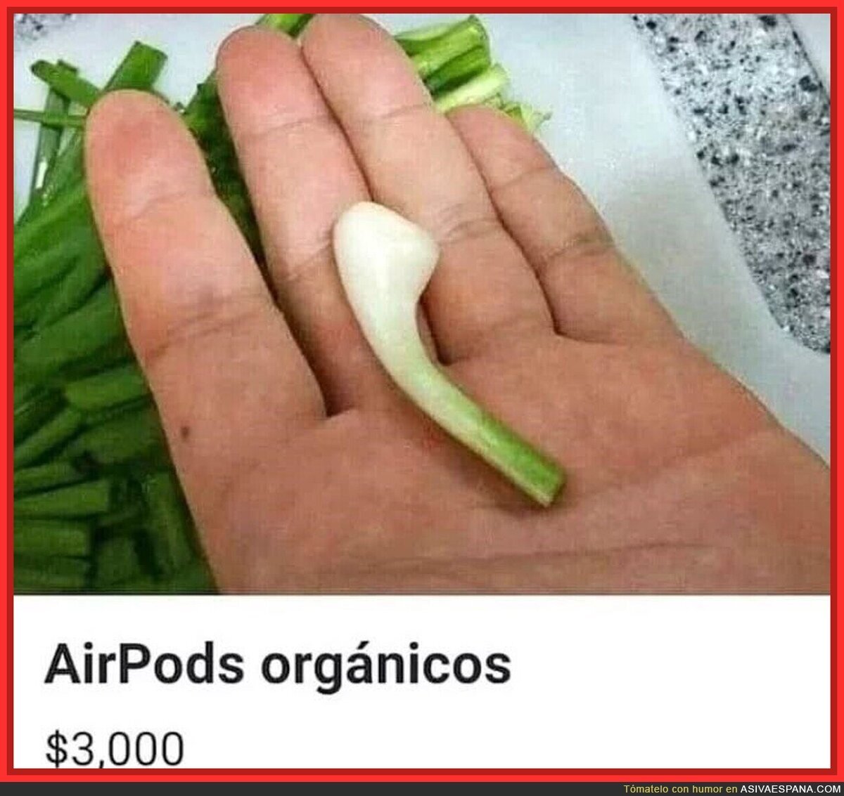 Los vegetarianos y las modas