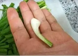 Los vegetarianos y las modas